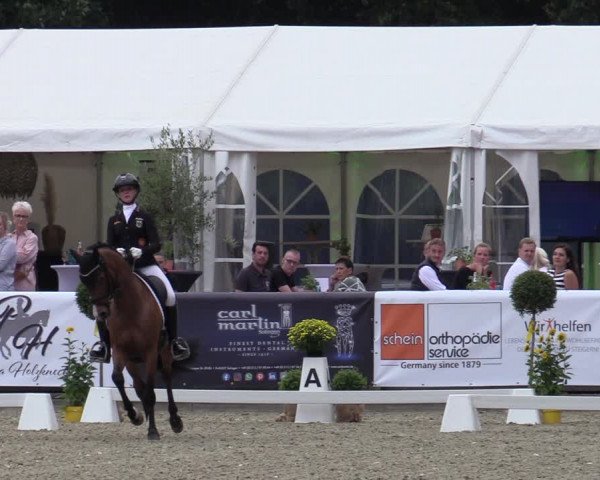 Reitturnier Solingen 2022