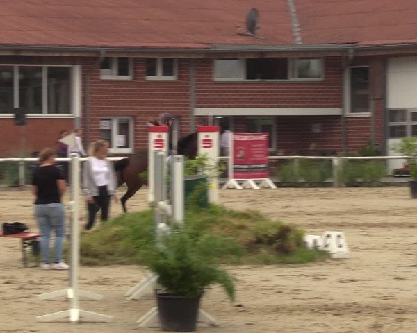 Reitturnier Werne 2022