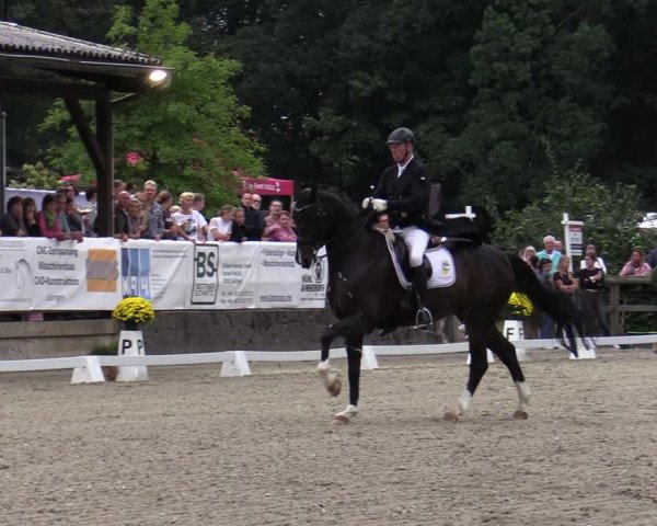 Reitturnier Solingen 2022