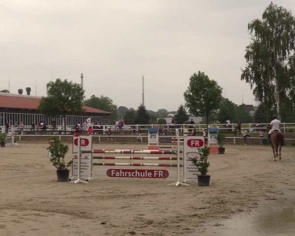 Reitturnier Werne 2022