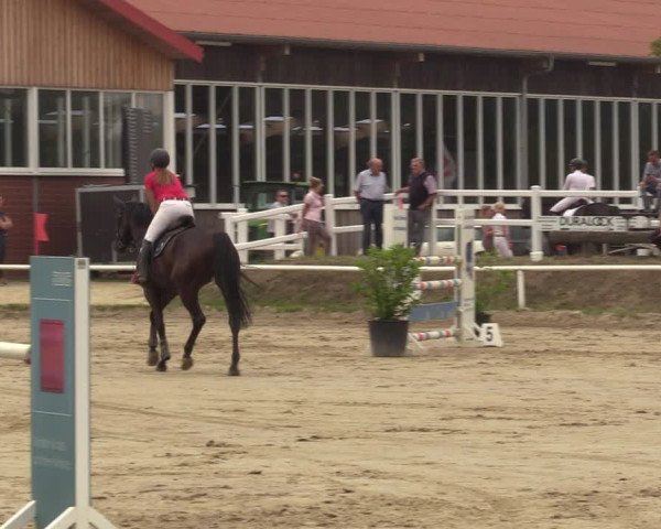 Reitturnier Werne 2022