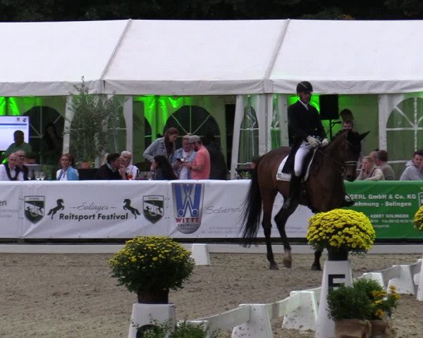 Reitturnier Solingen 2022