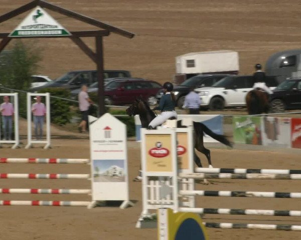 Reitturnier Duderstadt 2022