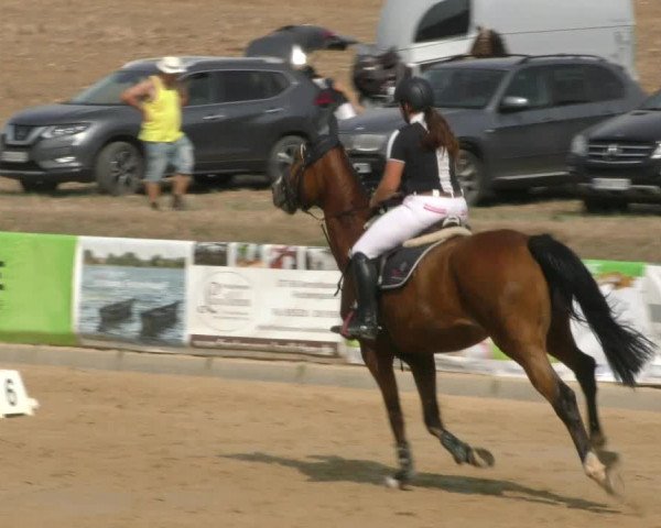 Reitturnier Duderstadt 2022