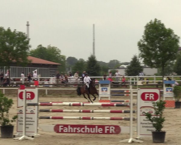 Reitturnier Werne 2022