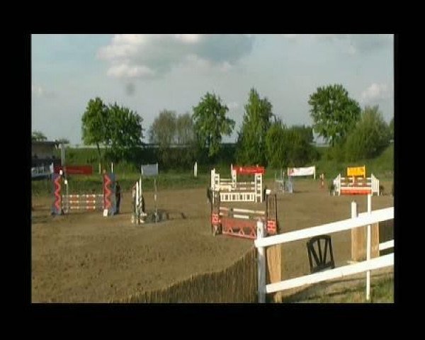 Pferd Lupina Coruna (Westfale, 2002, von Lupicor) Pferd Lupina Coruna (Westfale, 2002, von Lupicor)