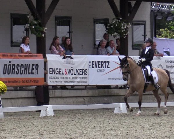 Reitturnier Solingen 2022