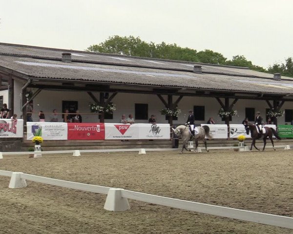 Reitturnier Solingen 2022