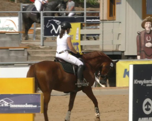 Reitturnier Duderstadt 2022