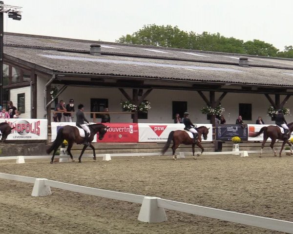 Reitturnier Solingen 2022