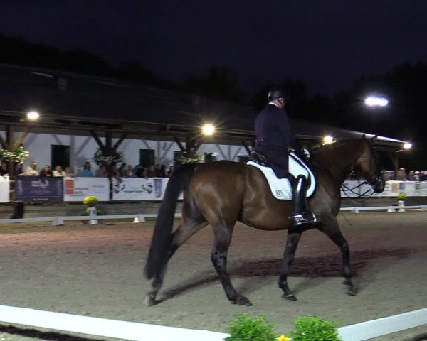 Reitturnier Solingen 2022