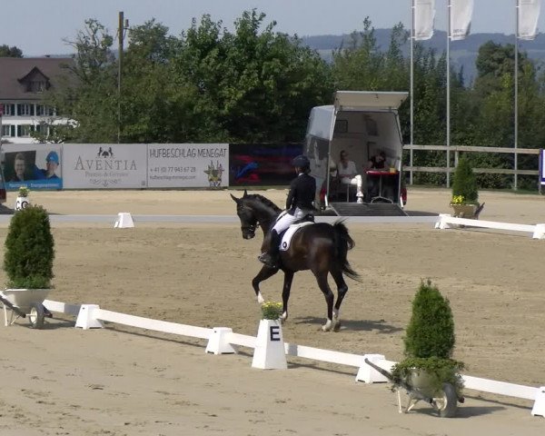 Reitturnier Wädenswil 2022