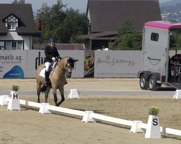 Reitturnier Wädenswil 2022