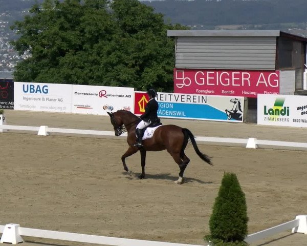 Reitturnier Wädenswil 2022