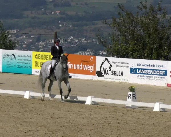 Reitturnier Wädenswil 2022