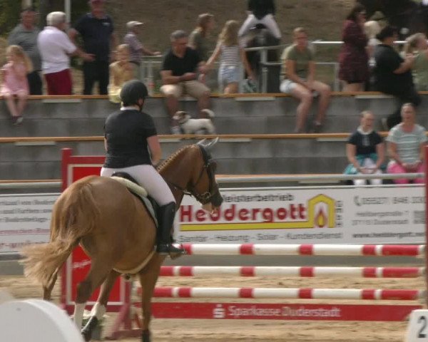 Reitturnier Duderstadt 2022
