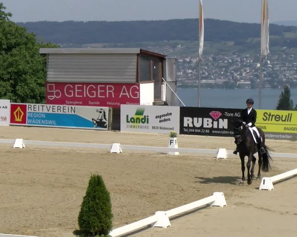 Reitturnier Wädenswil 2022