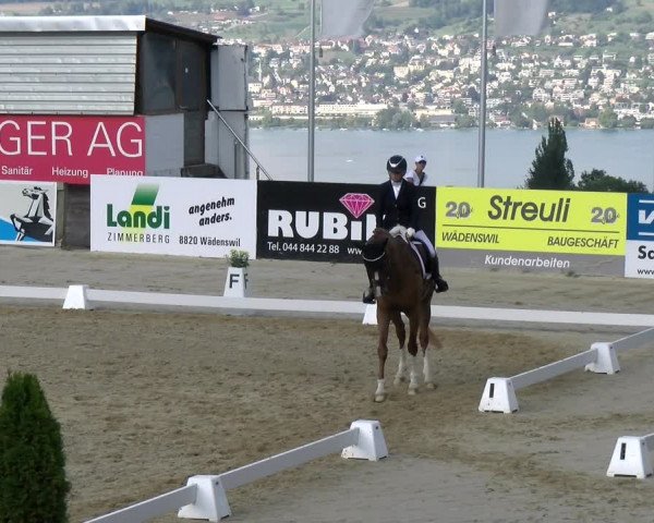 Reitturnier Wädenswil 2022