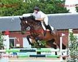 jumper Community (Westphalian, 2004, from Charming 8)