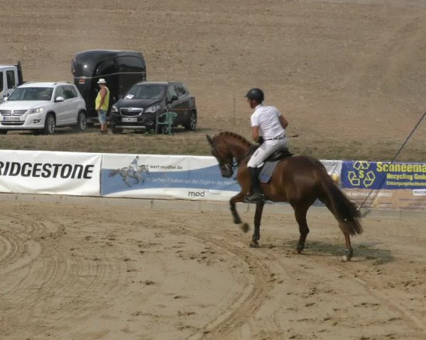 Reitturnier Duderstadt 2022