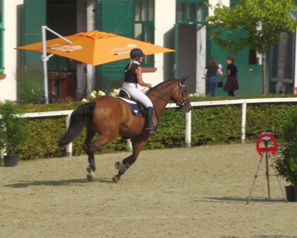 Reitturnier St.Wendel, Gestüt Welvert 2022
