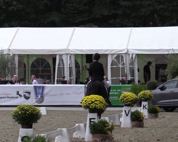 Reitturnier Solingen 2022