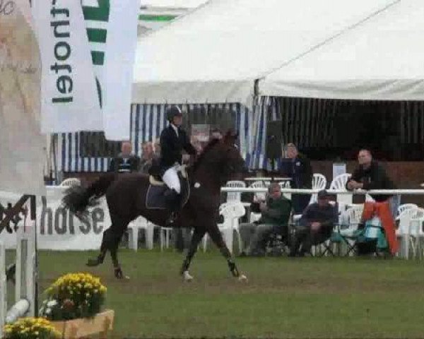 jumper Ariane 362 (Sachse, 1999, from Dornado)