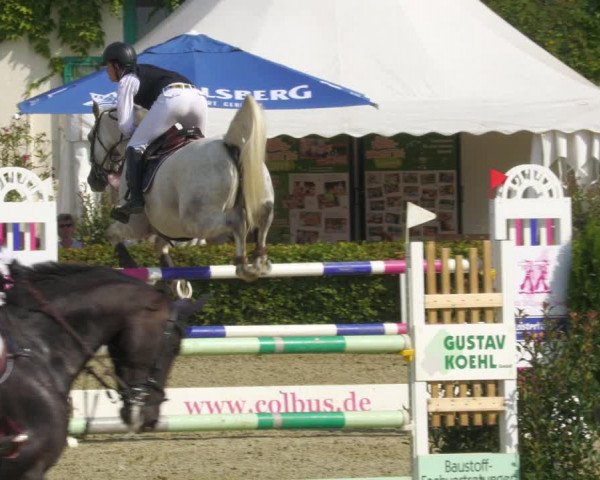 Reitturnier St.Wendel, Gestüt Welvert 2022
