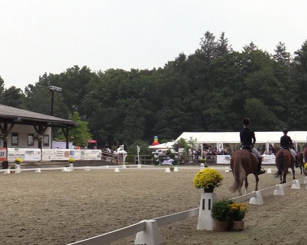 Reitturnier Solingen 2022
