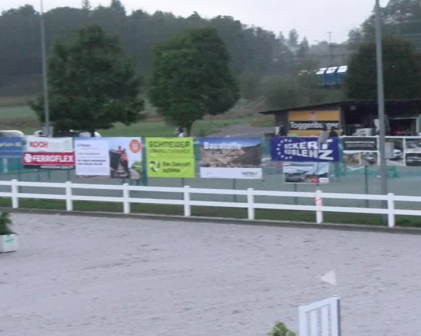 Reitturnier Hüntwangen 2022