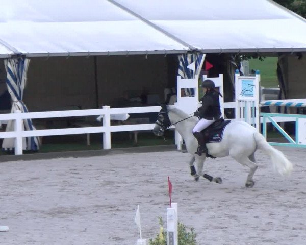 Reitturnier Hüntwangen 2022