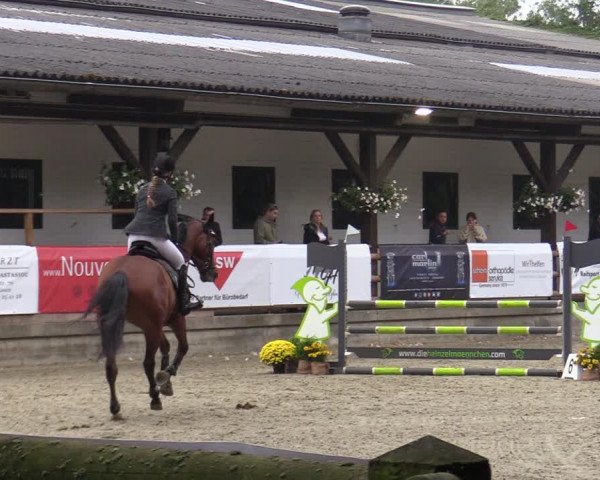 Reitturnier Solingen 2022