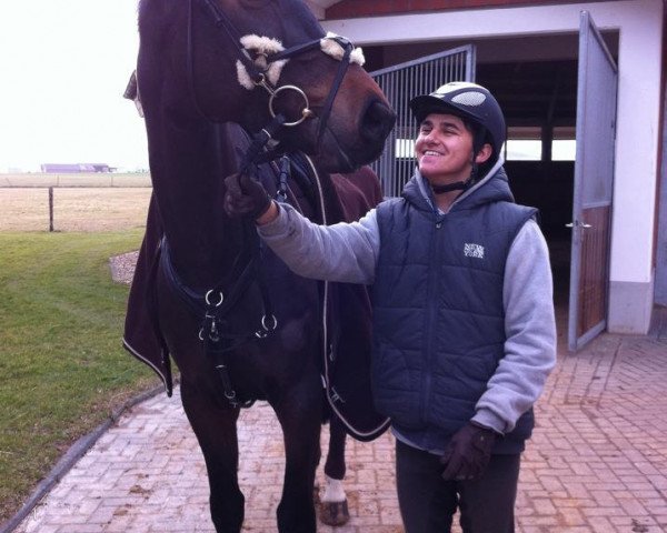 Springpferd Contendro`s Boy (Rheinländer, 2006, von Contendro I)