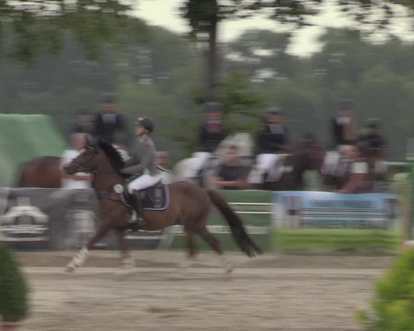 Reitturnier Dortmund-Asseln 2022