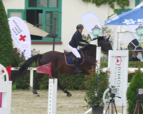 Reitturnier St.Wendel, Gestüt Welvert 2022