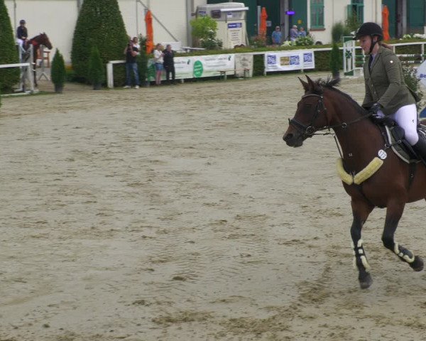 Reitturnier St.Wendel, Gestüt Welvert 2022