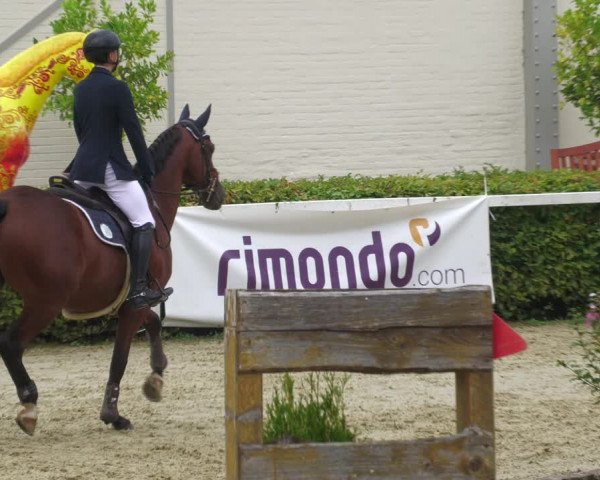 Reitturnier St.Wendel, Gestüt Welvert 2022