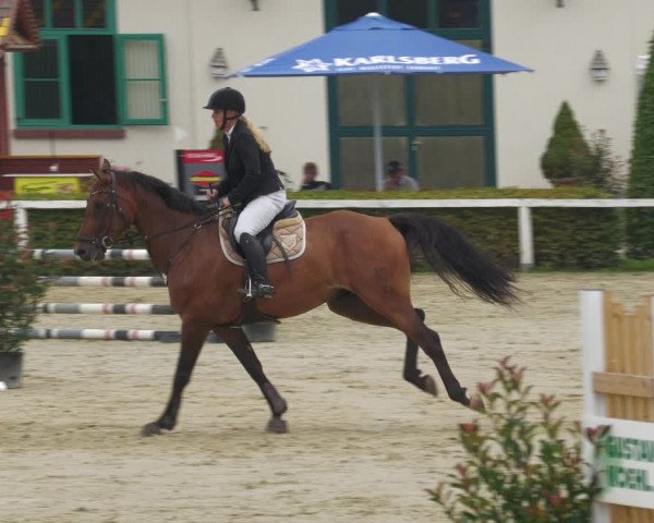 Reitturnier St.Wendel, Gestüt Welvert 2022