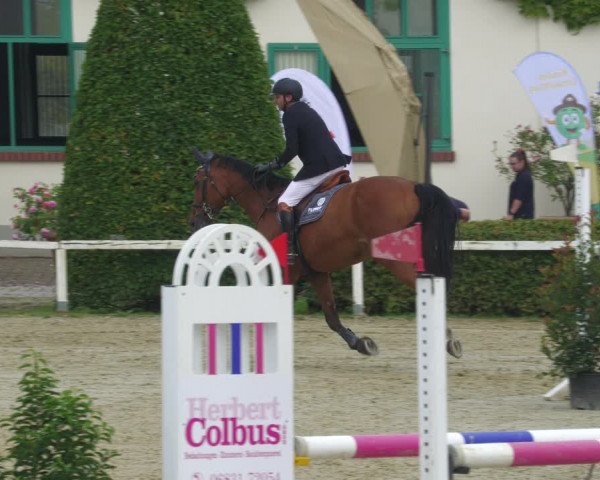 Reitturnier St.Wendel, Gestüt Welvert 2022