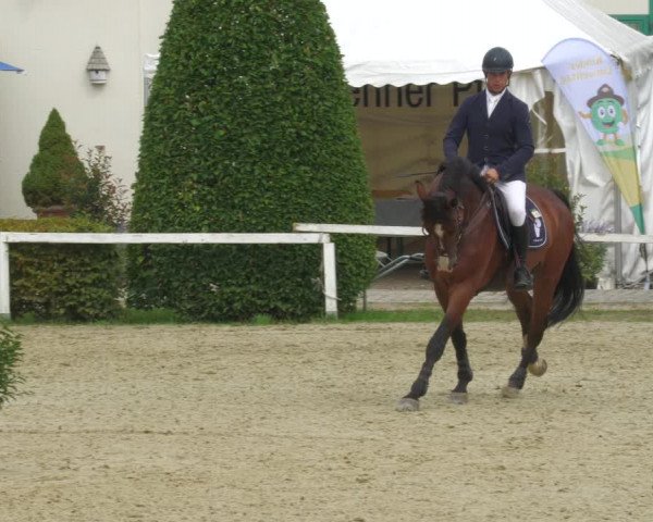 Reitturnier St.Wendel, Gestüt Welvert 2022