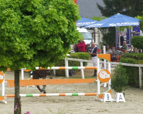 Reitturnier St.Wendel, Gestüt Welvert 2022