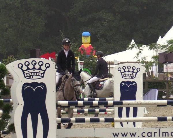 Reitturnier Solingen 2022