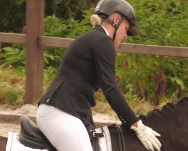 Reitturnier Bübinger Hof 2022