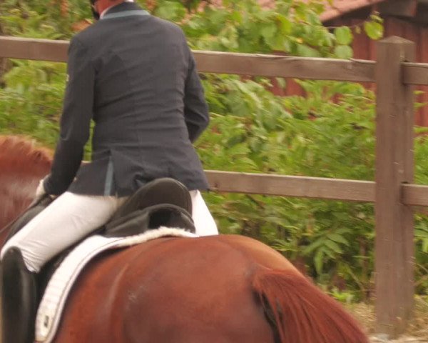 Reitturnier Bübinger Hof 2022