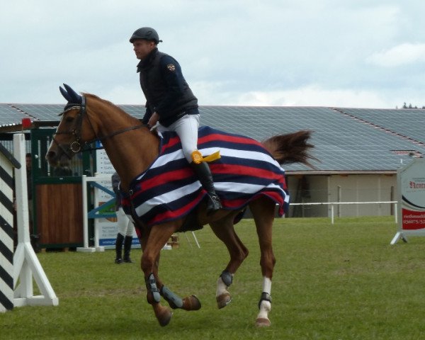 broodmare Orlanda 34 (German Sport Horse, 2005, from Carus)