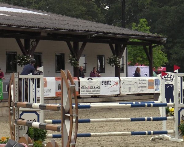 Reitturnier Solingen 2022