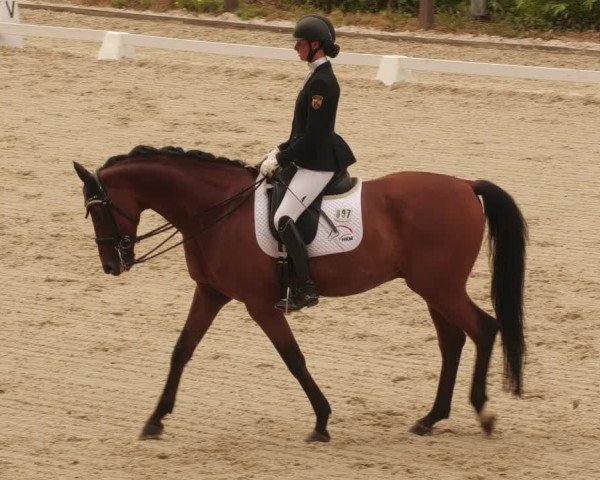Reitturnier Bübinger Hof 2022