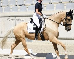 broodmare Fleur Haleluja de Cologne (Oldenburg, 2017, from Fuechtels Floriscount OLD)