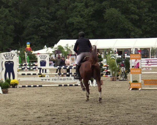 Reitturnier Solingen 2022