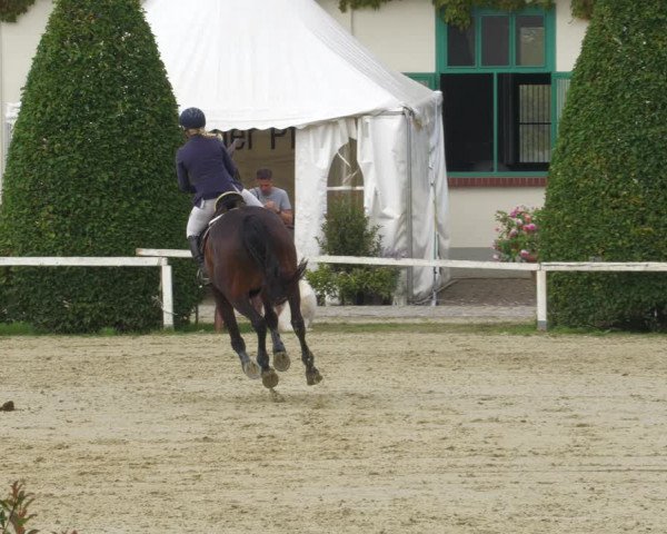 Reitturnier St.Wendel, Gestüt Welvert 2022